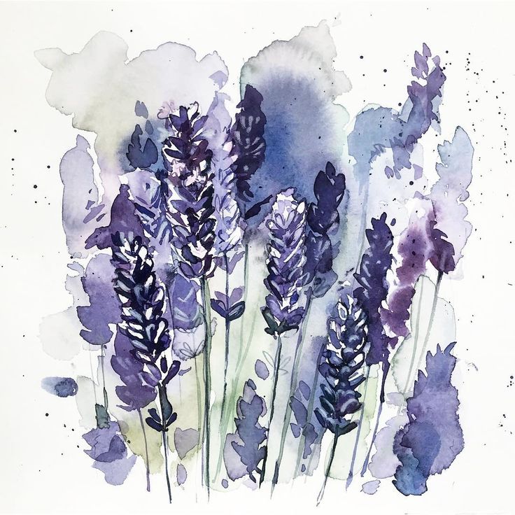 7890cbcd39b2fba14a74d504cbc88464